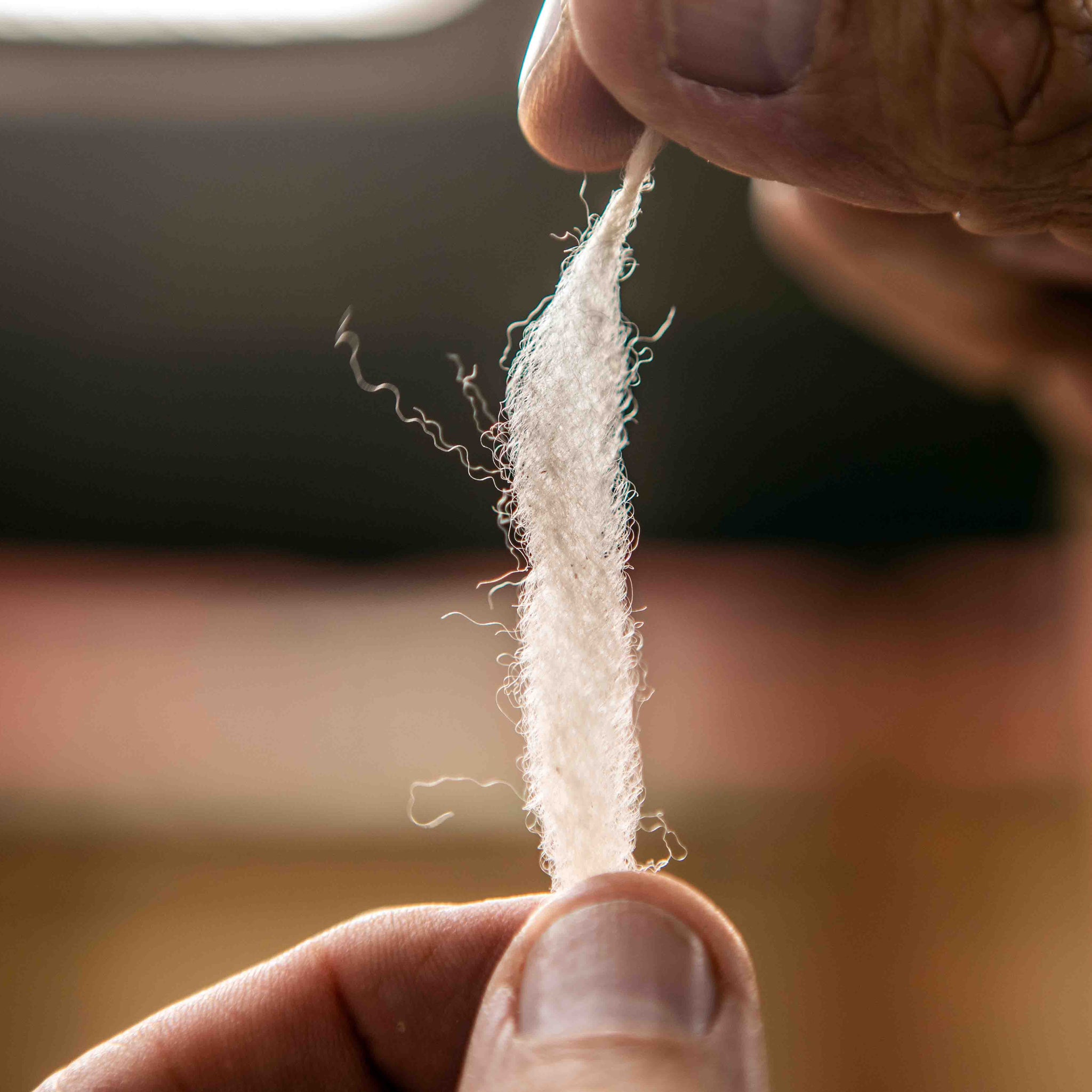 Alpaca Fiber vs. Alpaca Wool: The Difference You Need to Know