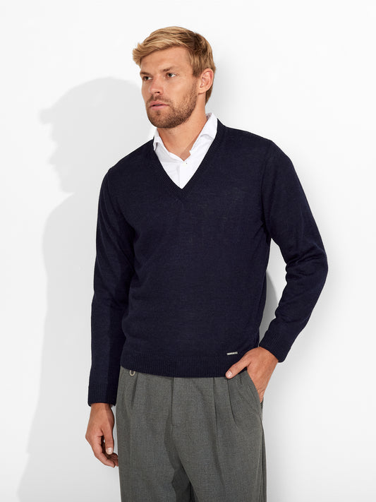 Alan Sweater Baby Alpaca Color Golondrina